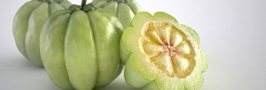 La garcinia cambogia