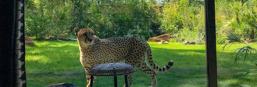 Zoo de La Flèche