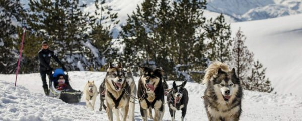 sortie en Andorre en chien de traineau