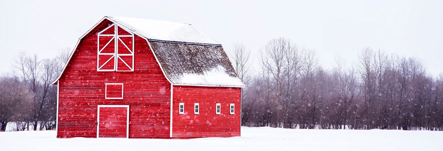 abri de l'hiver